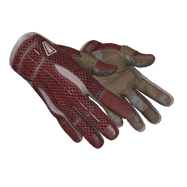 ★ Sport Gloves | Slingshot (Minimal Wear)