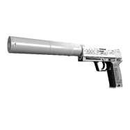 StatTrak™ USP-S | Printstream (Minimal Wear)